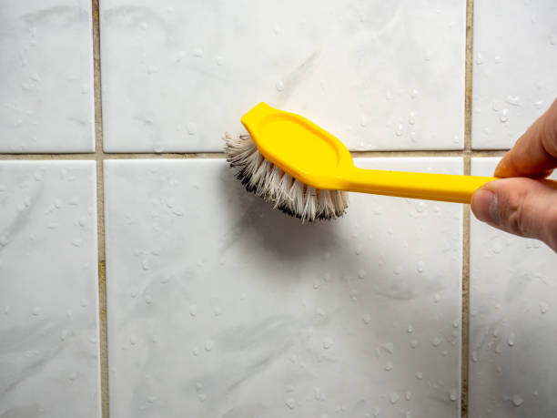 Best Mold Removal Company Near Me  in Mayville, ND