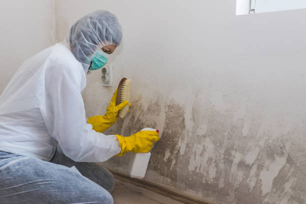 Water Damage Restoration in Mayville, ND