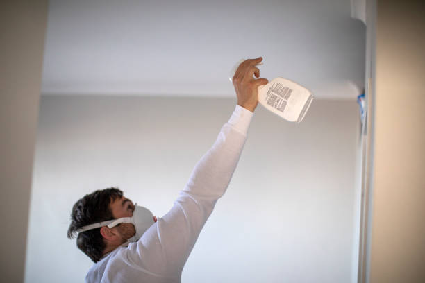 Best Attic Mold Removal  in Mayville, ND