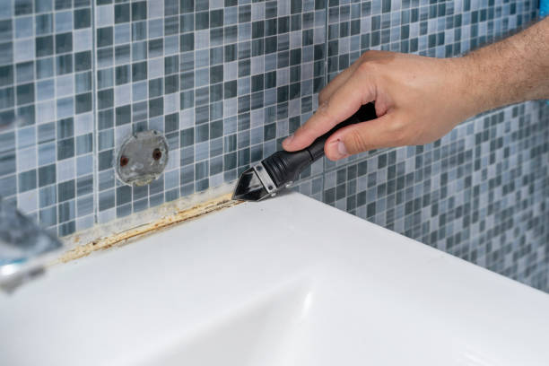 Best Mold Testing and Removal  in Mayville, ND