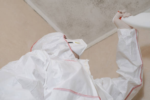 Best Crawl Space Mold Removal  in Mayville, ND